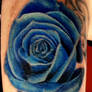 Blue Rose