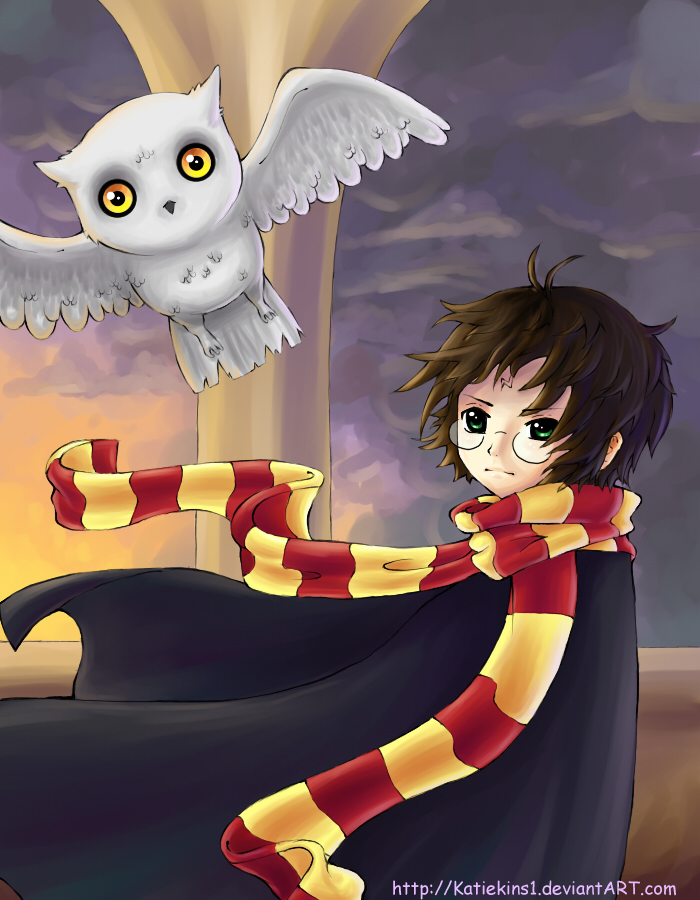 Harry Potter and Hedwig