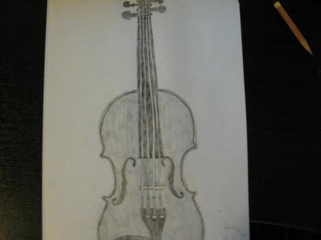 Violin