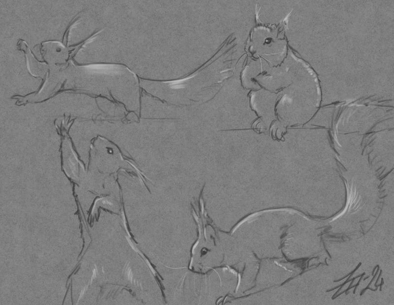 Deviantart Risumon Squirrel Squirrel by ZyriFrost on DeviantArt