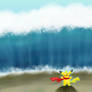 Zakchu Used Surf