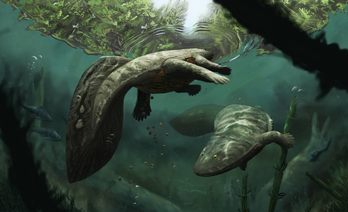 Acanthostega by PaleoPete on DeviantArt