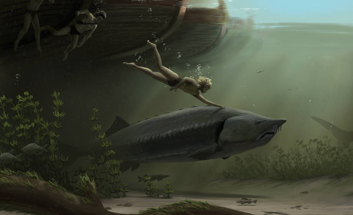 Beluga Sturgeon Art by Peter Nickolaus by PaleoPete on DeviantArt