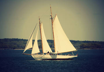 Sail Boat