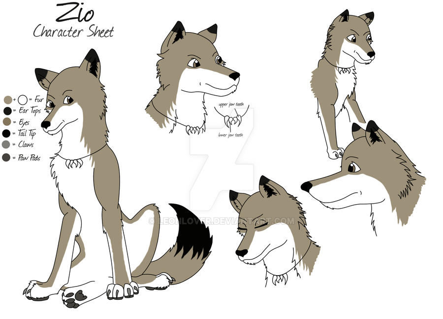 Zio Character Sheet