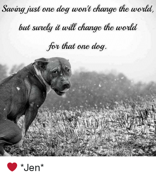 Saving-just-one-dog-wont-change-the-world-but-sure by Ry-Spirit Saving-just-one-dog-wont-change-the-world-but-sure by Ry-Spirit