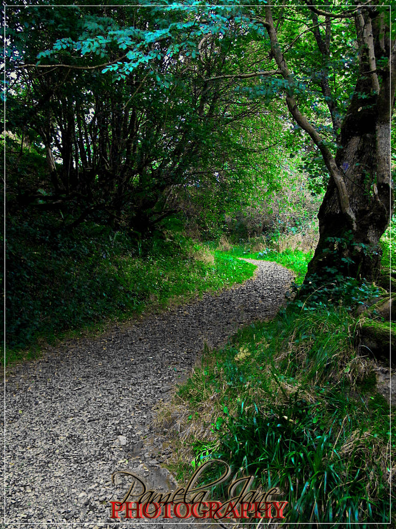 Fantasy path by KaioshiCat on DeviantArt