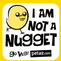 i am not a nugget