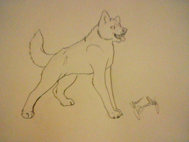 Siberian Husky- Inked Example