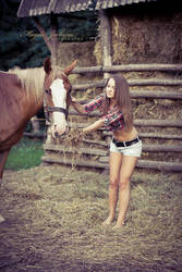 horse love