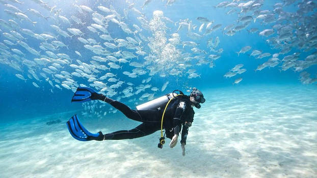 Book Diving Snorkeling Trip In Hurghada