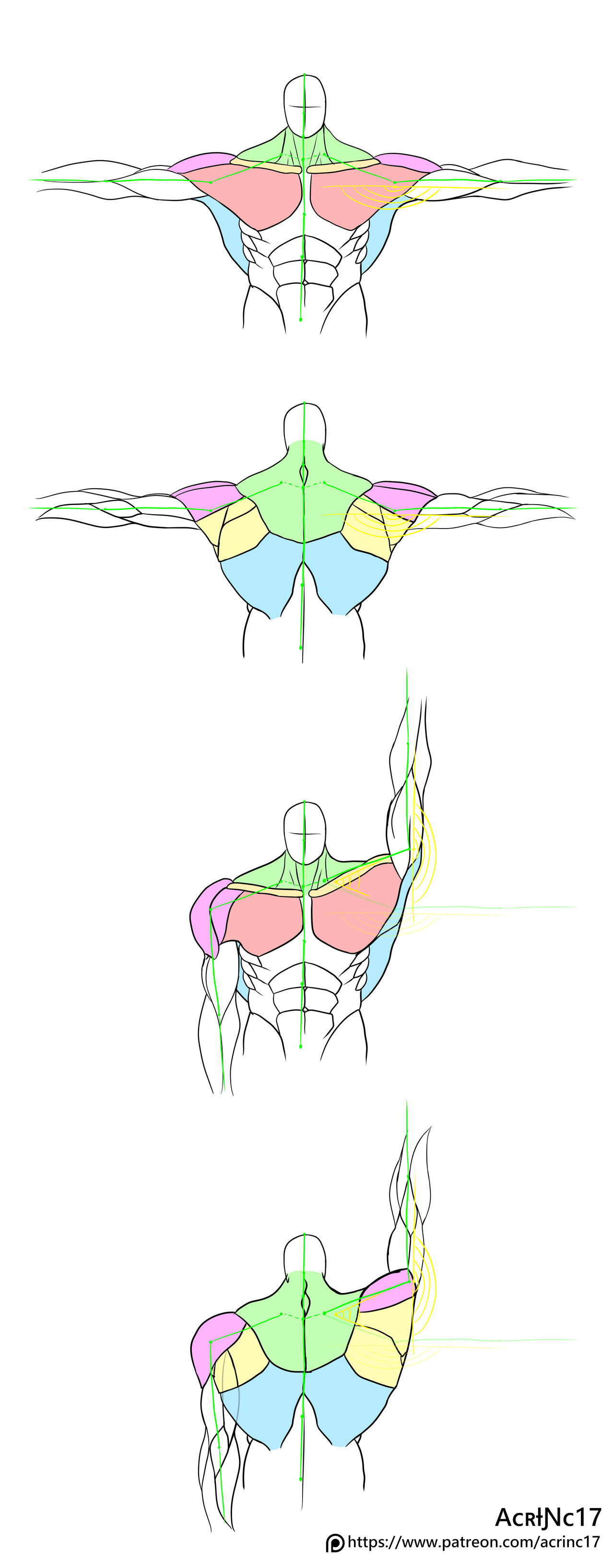 How to rotate Arms by ACRINC17 on DeviantArt