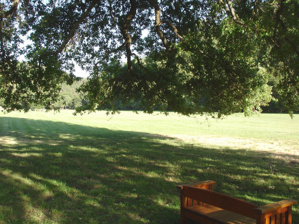 Shady Bench by Azahel on DeviantArt