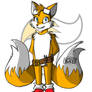 Tails The Fox Redesign
