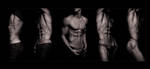 strip variation by Torsal