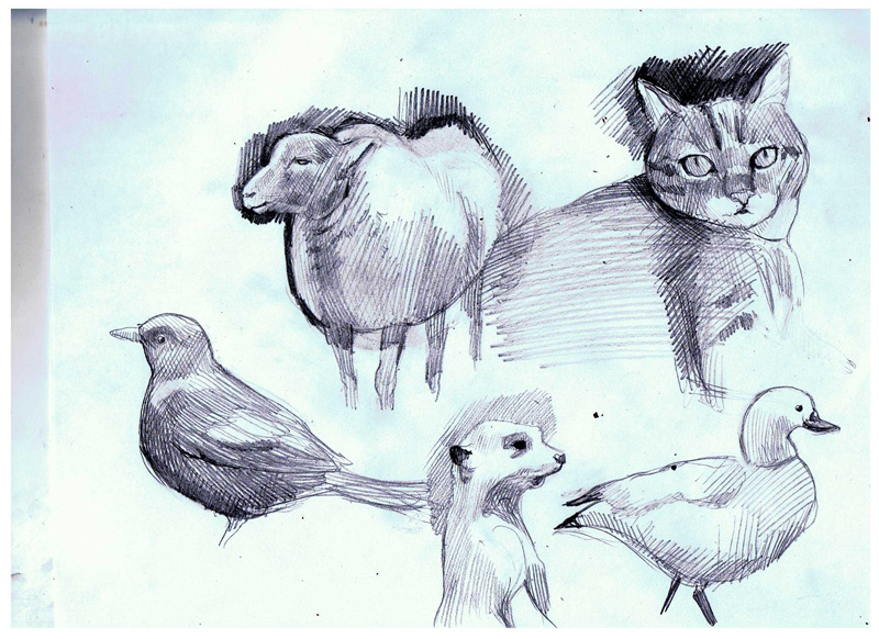 animal2 by Illustropencil on DeviantArt