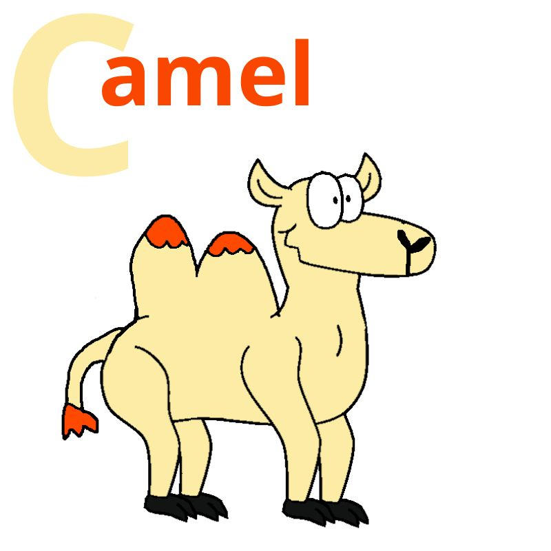 Camel by mariammajeed3404 on DeviantArt