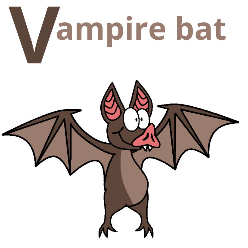 Vampire bat by mariammajeed3404 on DeviantArt