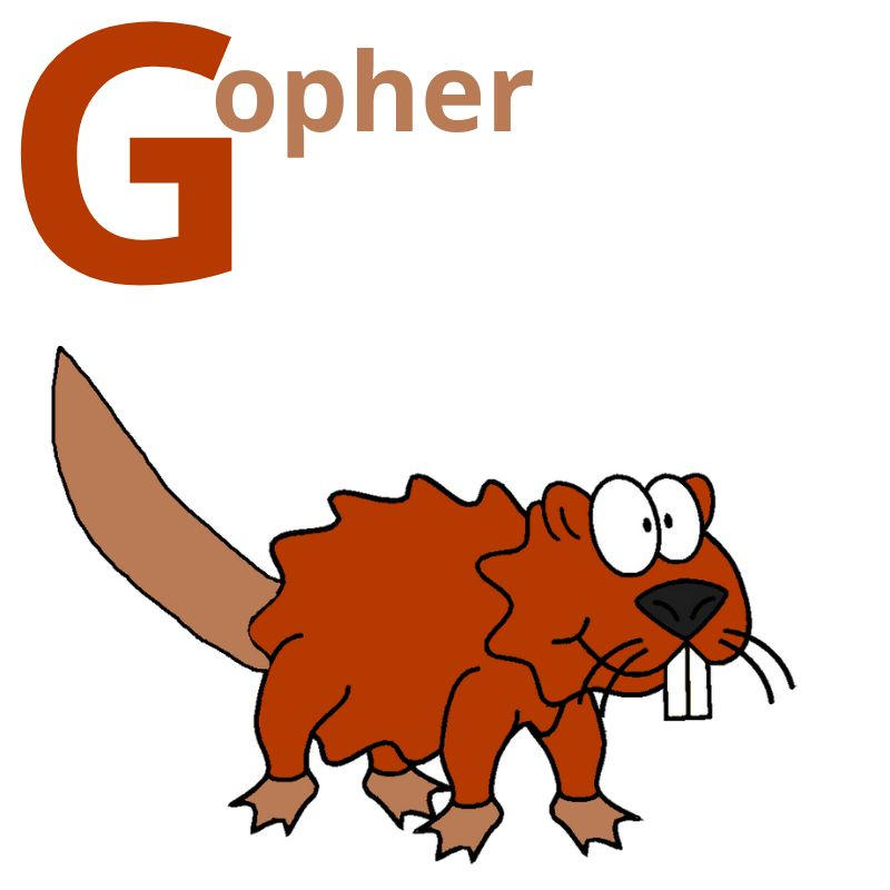 Gopher by mariammajeed3404 on DeviantArt