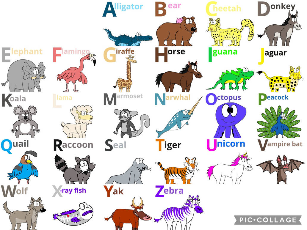 Animal Alphabet Fanart 13 by mariammajeed3404 on DeviantArt