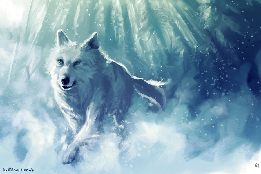 white wolf by AkiMao on DeviantArt