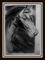 horse in graphite. by Oscarliima