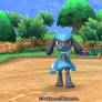 Riolu walks toward you....