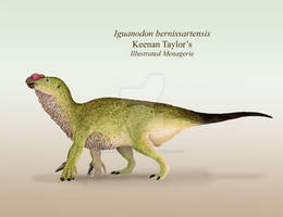 Iguanodon bernissartensis