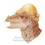Adult Pachycephalosaurus