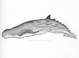 Mermay Day 5: Whale