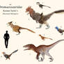 My Dromaeosauridae