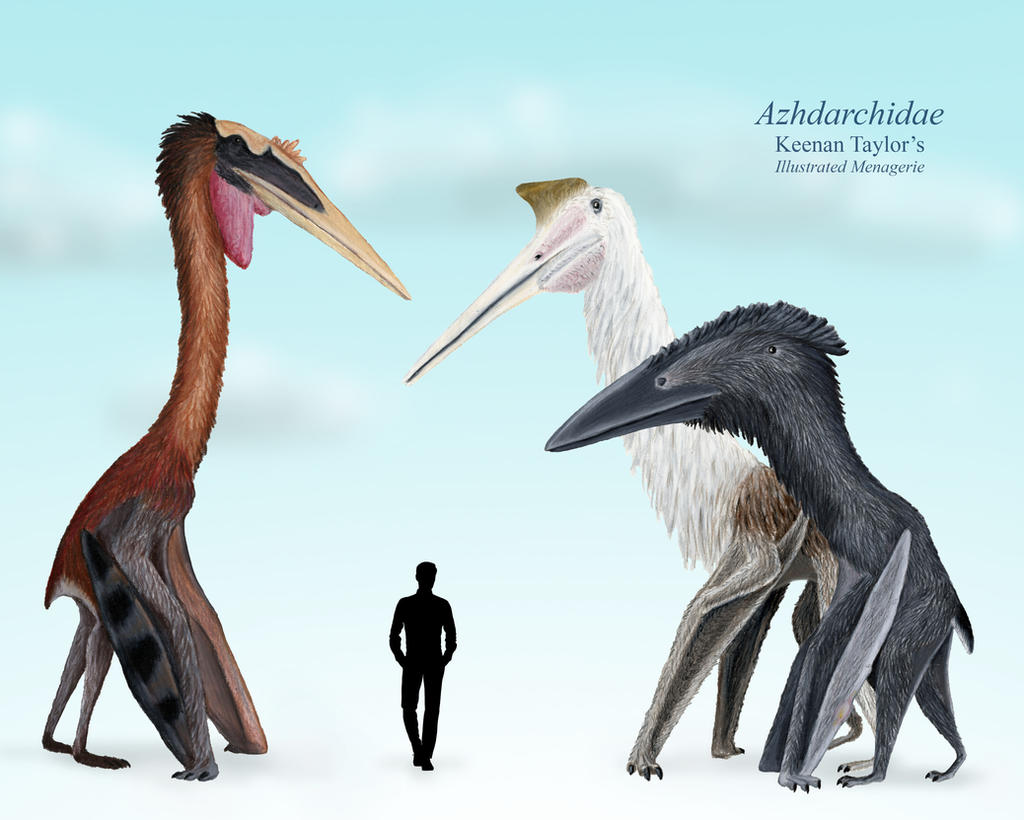 My Azhdarchidae By IllustratedMenagerie On DeviantArt my-azhdarchidae-by-illustratedmenagerie-on-deviantart