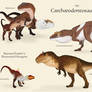 My Carcharodontosauridae
