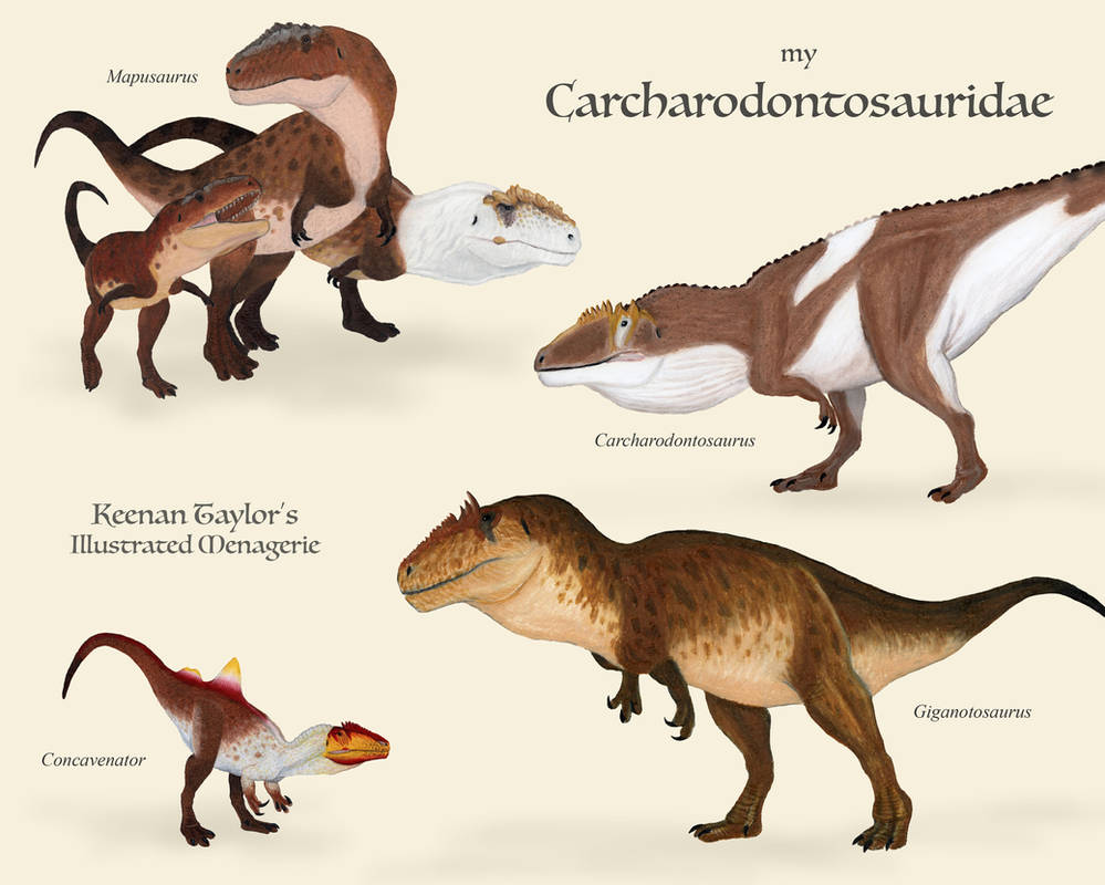 My Carcharodontosauridae by IllustratedMenagerie on DeviantArt