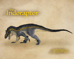 The Indos redesigned by kingrexy on DeviantArt