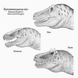 Tyrannosaurus rex Study