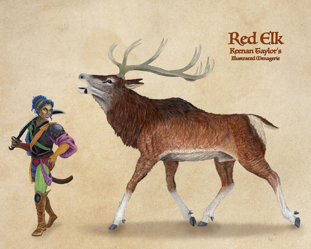 Red Elk by IllustratedMenagerie on DeviantArt