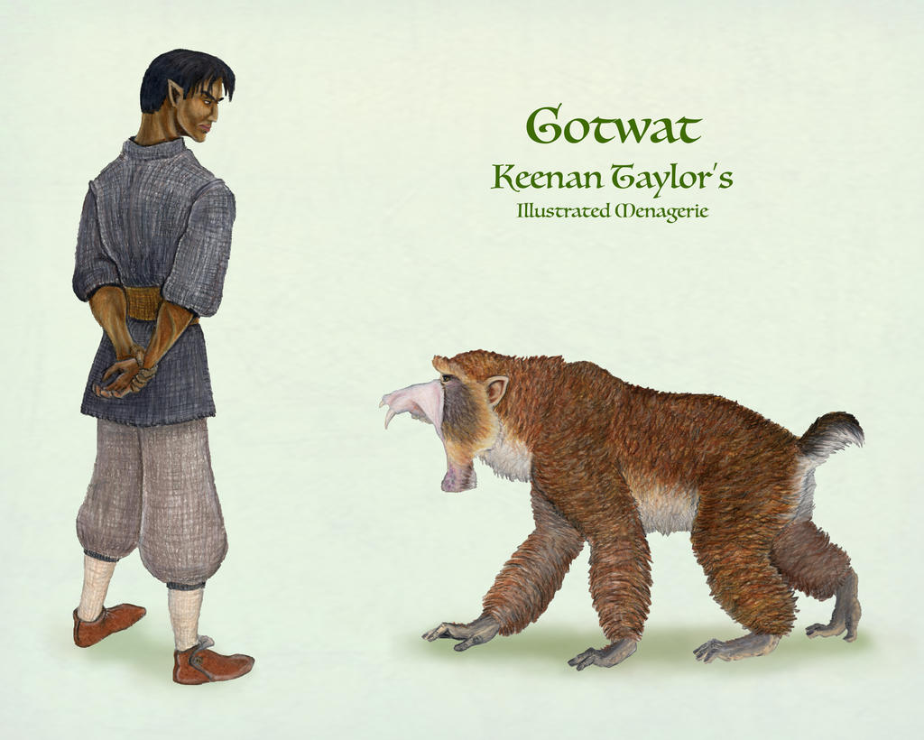 Gotwat by IllustratedMenagerie on DeviantArt