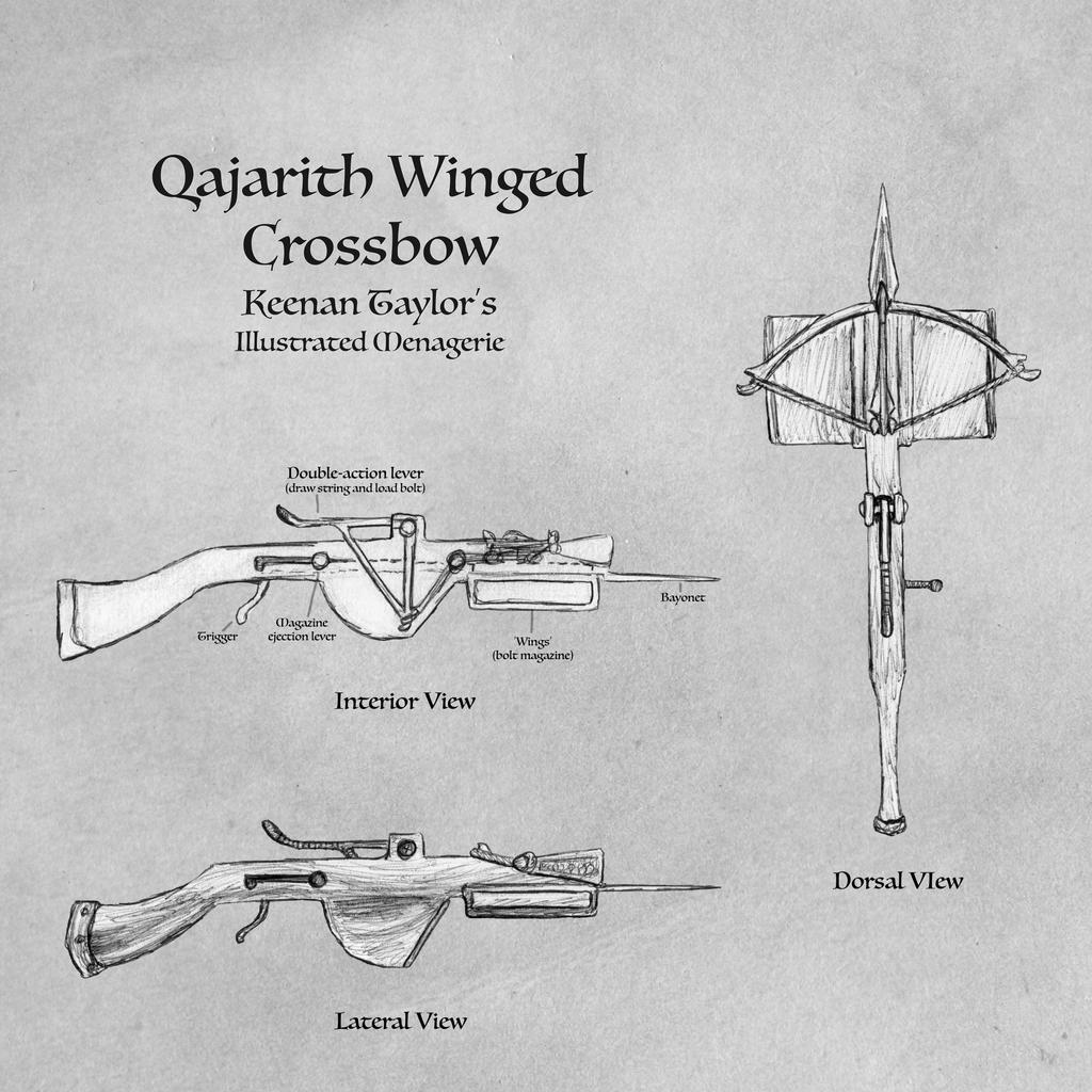 Qajarith Winged Crossbow By Illustratedmenagerie On Deviantart Qajarith Winged Crossbow By Illustratedmenagerie On Deviantart