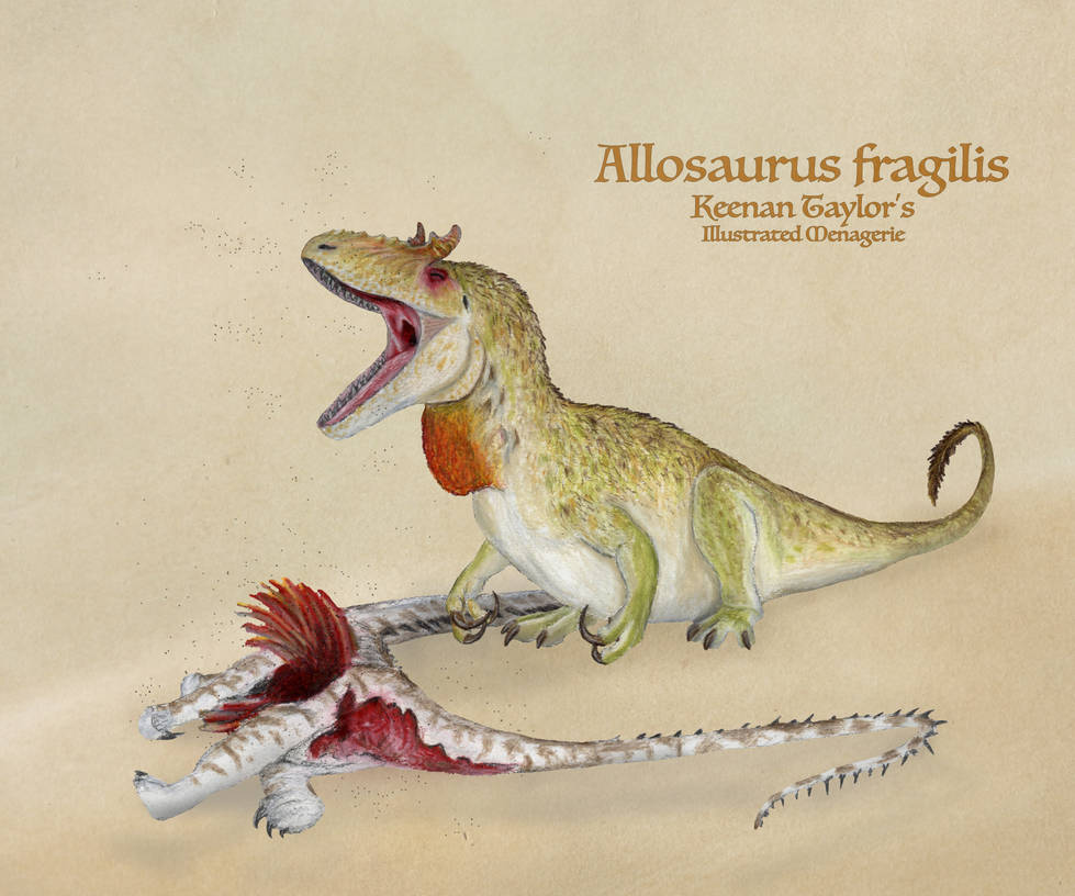 Allosaurus Fragilis By IllustratedMenagerie On DeviantArt allosaurus-fragilis-by-illustratedmenagerie-on-deviantart