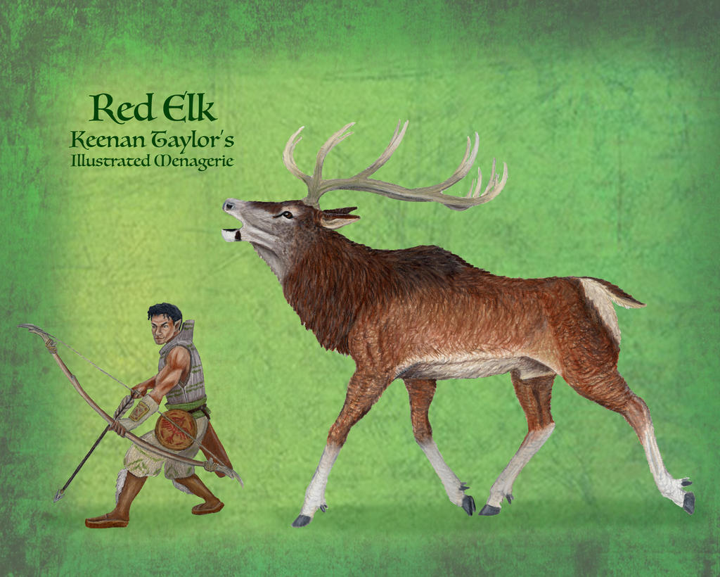 Red Elk by IllustratedMenagerie on DeviantArt