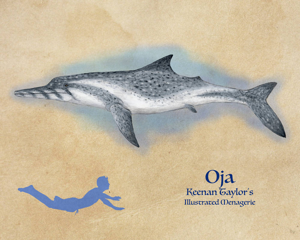 Oja by IllustratedMenagerie on DeviantArt