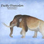 Pacific Mastodon