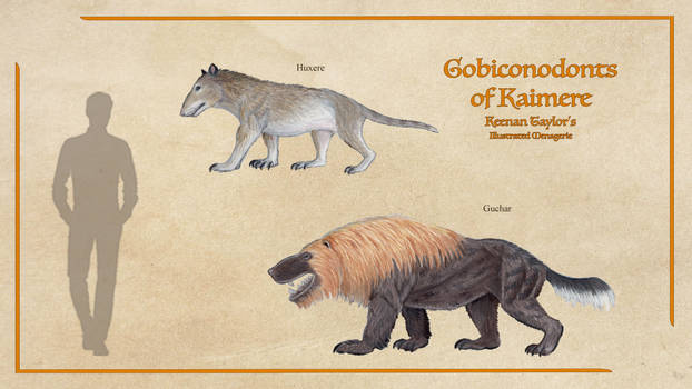 Gobiconodonts of Kaimere