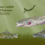 Giant Catfish of Kaimere