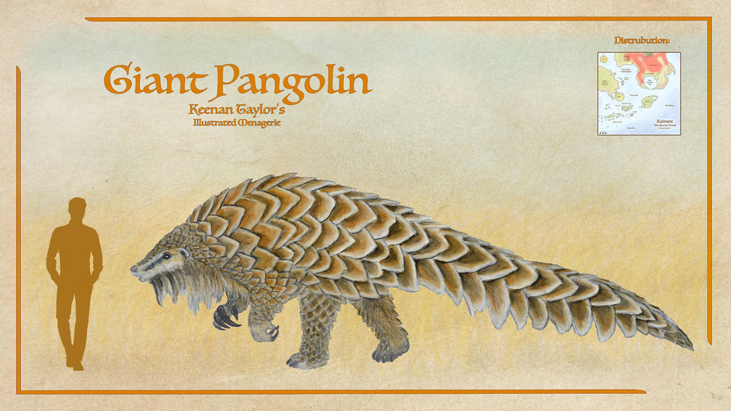 Giant Pangolin Size Pangolins Too Prized To Survive giant-pangolin-size-pangolins-too-prized-to-survive