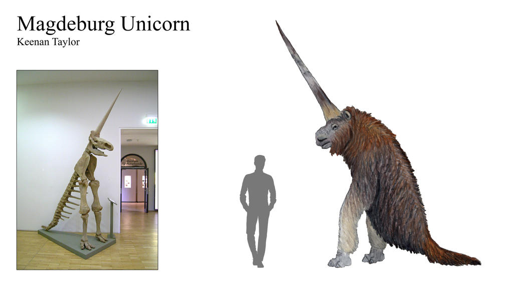 magdeburg_unicorn_by_illustratedmenagerie_df2sjfh-fullview.jpg