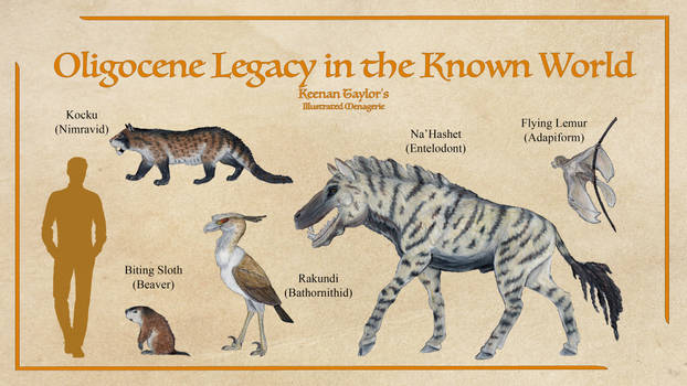 Oligocene Legacy in the Known World