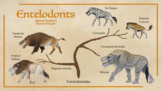 Entelodont Cladistics