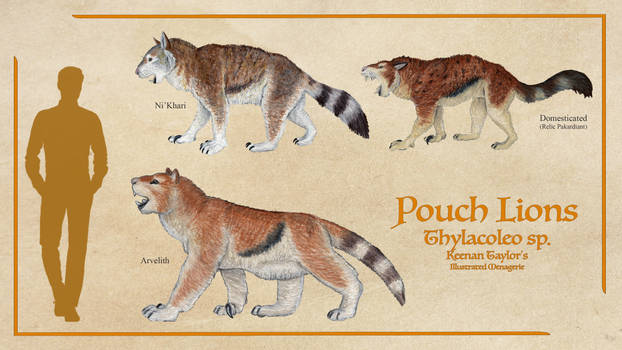 Pouch Lions